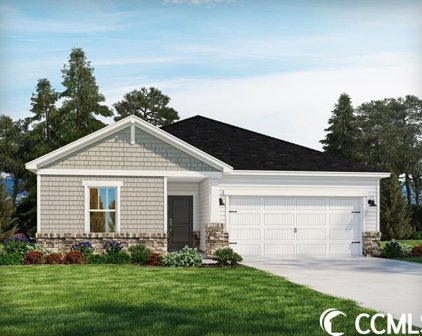 208 Marley Blue Dr., Little River