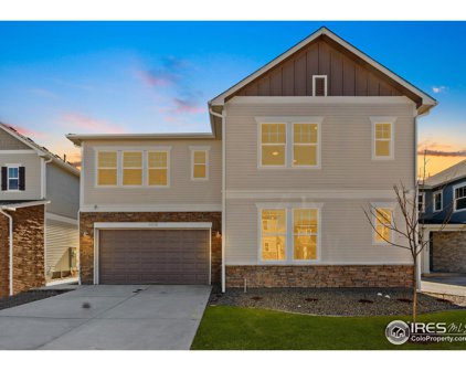 4478 Haymill Ct, Timnath