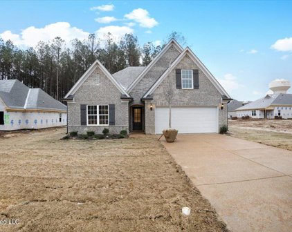8642 Hayes Drive, Southaven