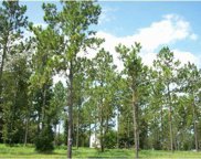 35920 Ramsey Ridge Drive, Dade City image