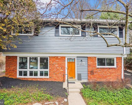 203 Thistle Dr, Silver Spring