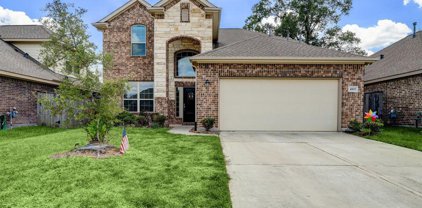 4507 Whitehaven Ridge Way, Porter