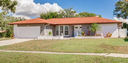 3251 Springwood Drive, Clearwater