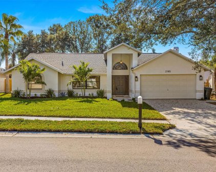 2185 Santa Paula Drive, Dunedin