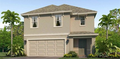 10015 Big Marsh Terrace, Parrish