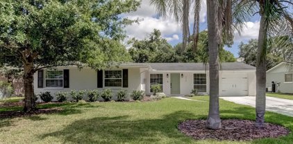 3113 W Tyson Avenue, Tampa