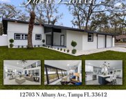 12703 N. Albany Avenue, Tampa image