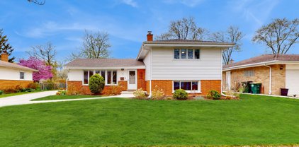 31 N Forrest Avenue, Arlington Heights