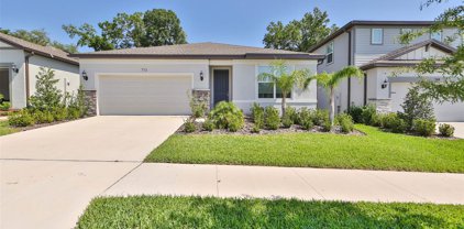 773 Parsons Mooring Court, Seffner