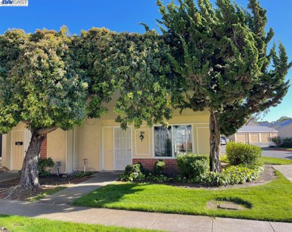 4196 Asimuth Circle, Union City