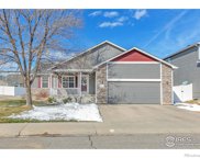 215 Snow Goose Avenue, Loveland image