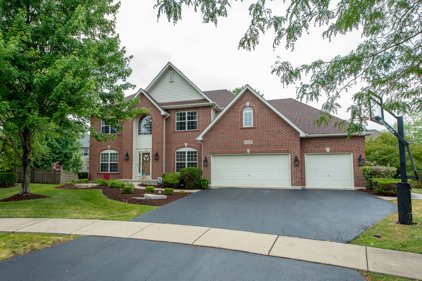 13422 Lindengate Court, Plainfield