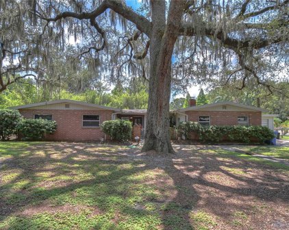 12905 Forest Hills Drive, Tampa