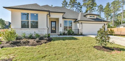 15383 Legacy Park Way, Magnolia