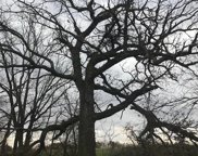 46.2 ac Lewis Rd, Springdale image