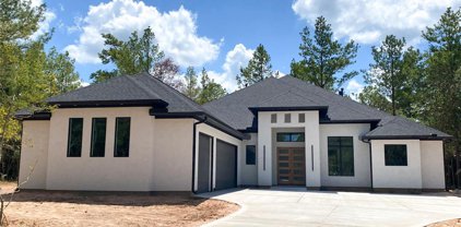 26227 Misty Manor Lane, Montgomery