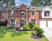 19115 Timber Trace Drive, Humble image
