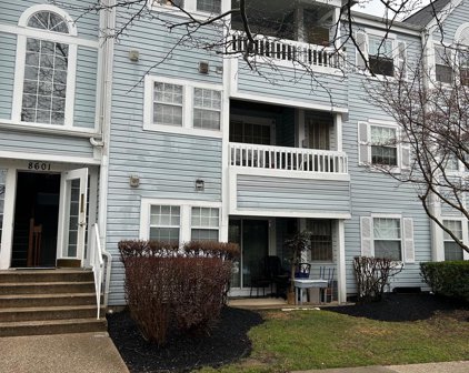 8601 Falls Run Rd Unit #L, Ellicott City