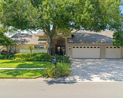 13744 Chestersall Drive, Tampa