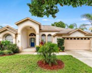 16311 Magnolia Hill Street, Clermont image