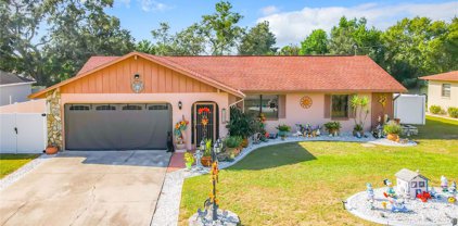 11423 Linden Drive, Spring Hill