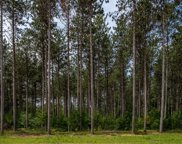 Lot 10 TWO SISTERS COURT, Stevens Point image