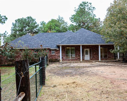 23764 County Road 2110, Troup
