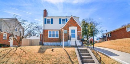 4503 Springwood   Avenue, Baltimore