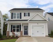 403 Sturgeon, Smithfield image