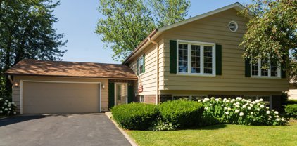 903 W Burning Tree Lane, Arlington Heights