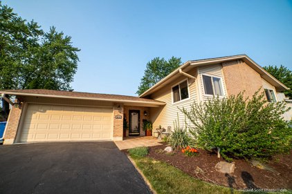 6113 Allan Drive, Woodridge