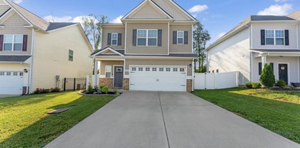 409 Tines Dr, Shelbyville