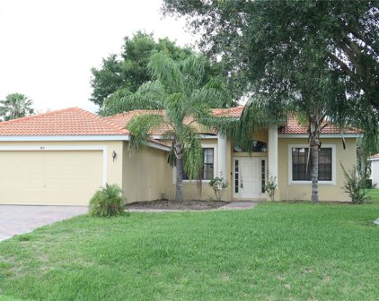 415 Caraway Drive, Poinciana