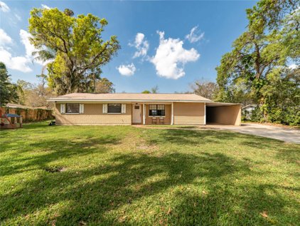5306 N Falkenburg Road, Tampa