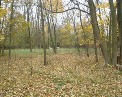 37817 N Lake Vista Terrace, Spring Grove