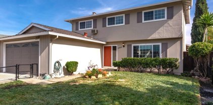 1156 Starlite Drive, Milpitas