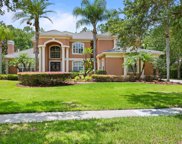 16416 Burniston Drive, Tampa image