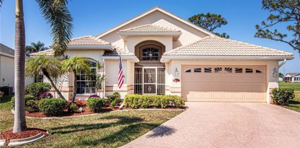 17811 Pineapple Palm  Court, North Fort Myers