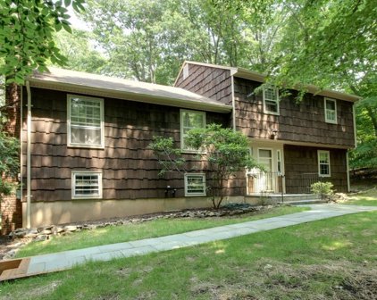 11 Olcott Lane, Bernardsville Boro