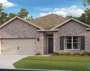 13218 Golden Hay Circle, Madison image