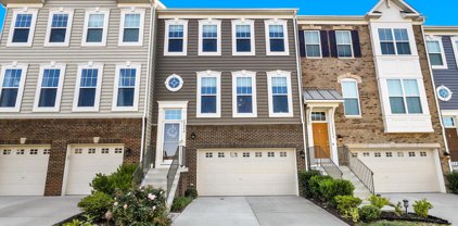 22290 Pinecroft Ter, Ashburn