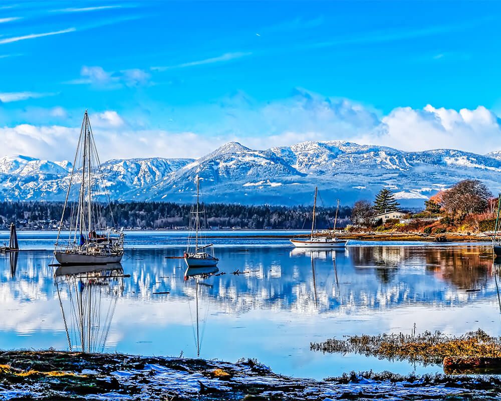 Comox Real Estate