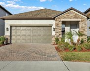 9783 Wild Begonia Loop, Land O' Lakes image
