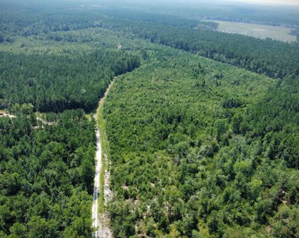 TBD 67.34+/-AC Highway 905, Conway