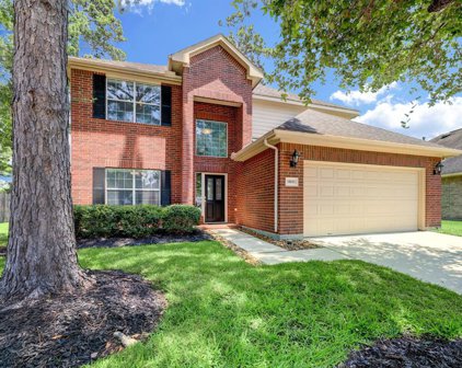 11611 Bryce Mill Court, Humble