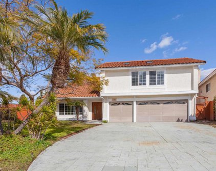 1595 Avenida De Los Lirios, Encinitas