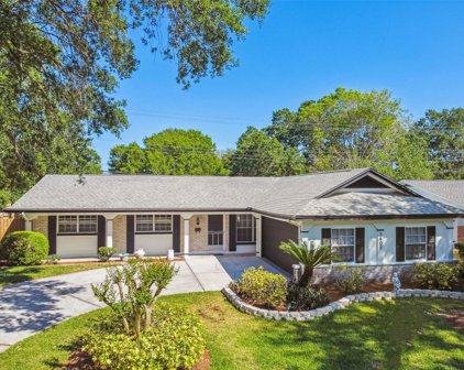 3405 Valencia Road, Tampa