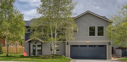 1624 N Chipmunk  Lane, Silverthorne