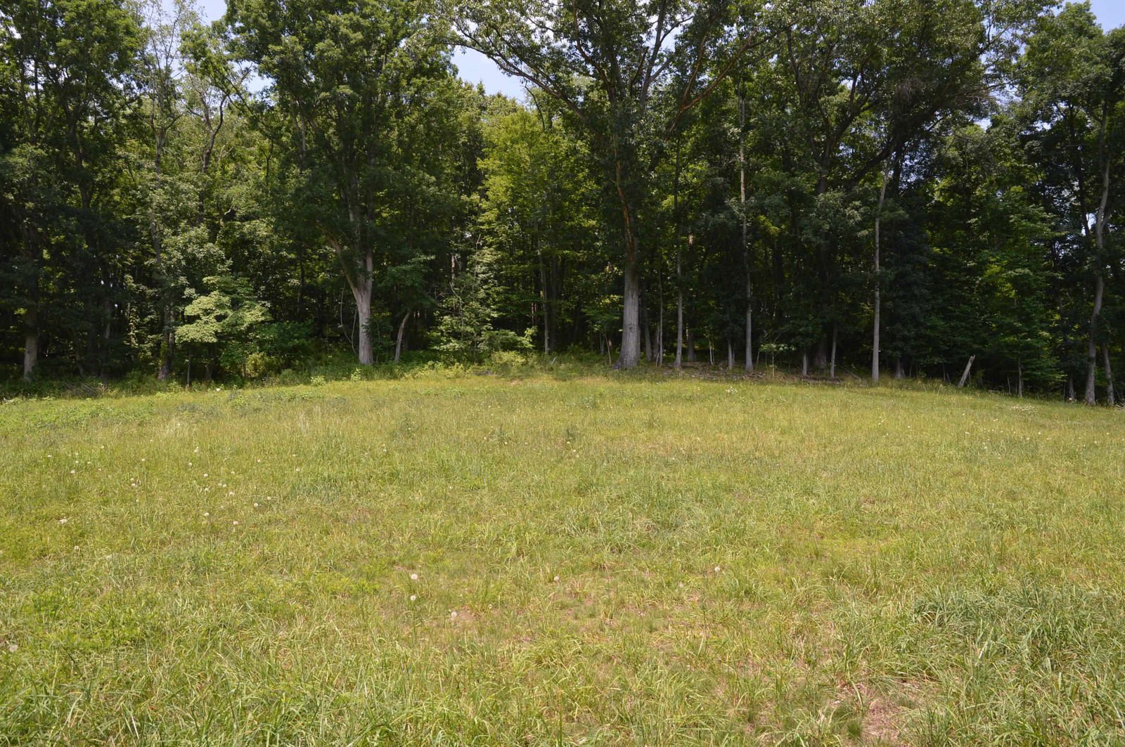 TBD Blue Springs Road, Hiwassee, 24347