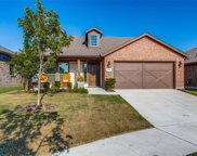 7405 Twisted Thicket  Lane, Little Elm image